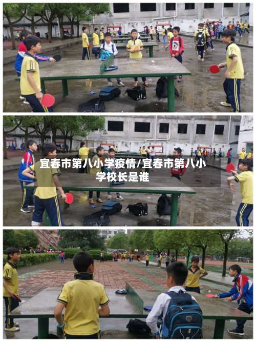 宜春市第八小学疫情/宜春市第八小学校长是谁