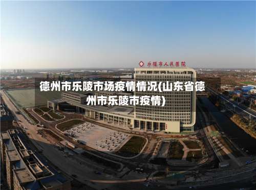 德州市乐陵市场疫情情况(山东省德州市乐陵市疫情)