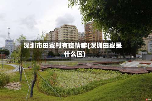 深圳市田寮村有疫情嘛(深圳田寮是什么区)