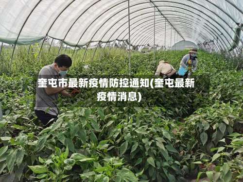 奎屯市最新疫情防控通知(奎屯最新疫情消息)