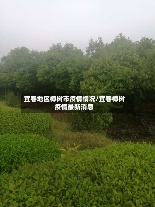 宜春地区樟树市疫情情况/宜春樟树疫情最新消息