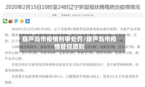 葫芦岛市疫情刑事处罚/葫芦岛市疫情管控原则