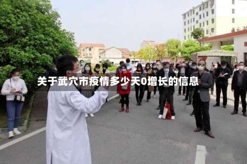 关于武穴市疫情多少天0增长的信息