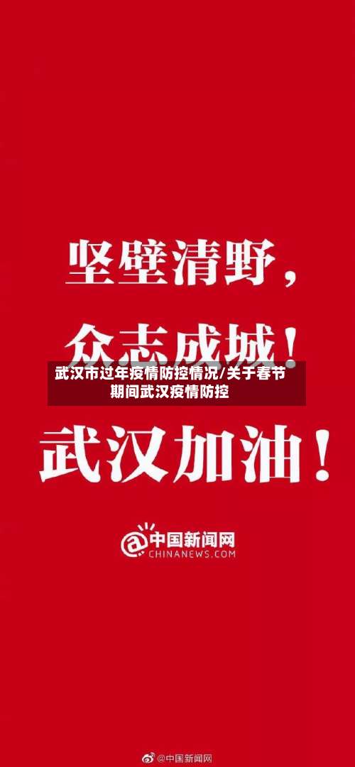 武汉市过年疫情防控情况/关于春节期间武汉疫情防控