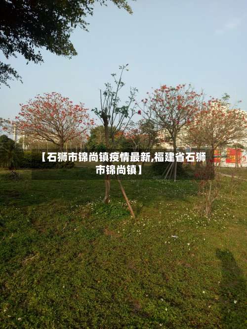 【石狮市锦尚镇疫情最新,福建省石狮市锦尚镇】