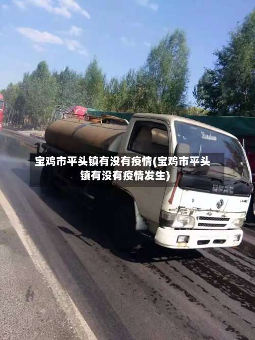 宝鸡市平头镇有没有疫情(宝鸡市平头镇有没有疫情发生)