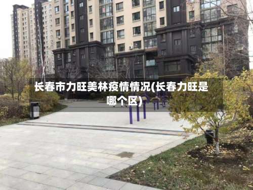 长春市力旺美林疫情情况(长春力旺是哪个区)