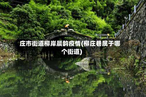 庄市街道柳岸晨韵疫情(柳庄巷属于哪个街道)-第3张图片