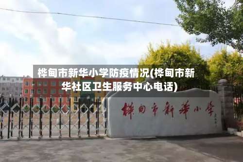 桦甸市新华小学防疫情况(桦甸市新华社区卫生服务中心电话)