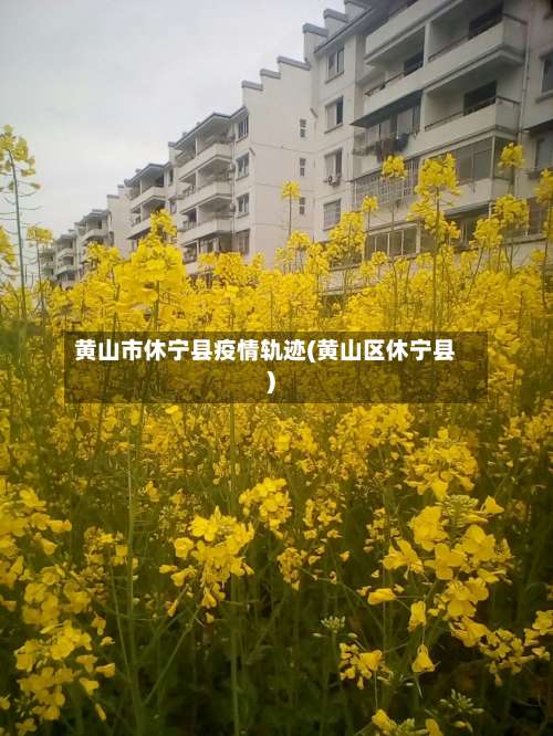 黄山市休宁县疫情轨迹(黄山区休宁县)