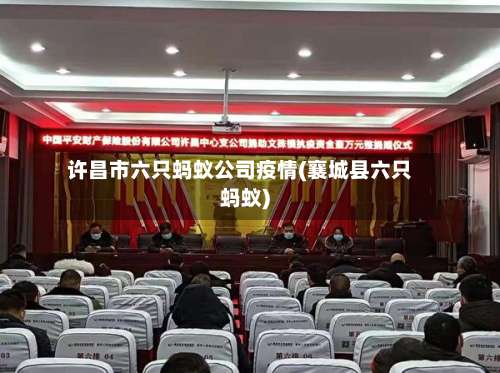 许昌市六只蚂蚁公司疫情(襄城县六只蚂蚁)