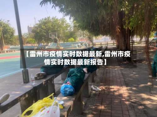 【雷州市疫情实时数据最新,雷州市疫情实时数据最新报告】