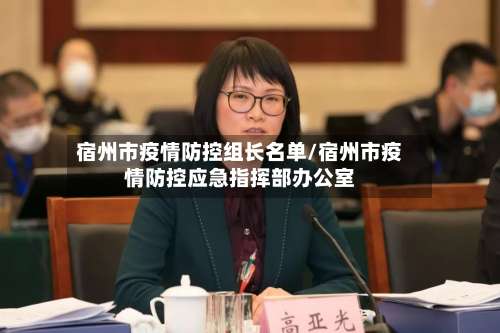 宿州市疫情防控组长名单/宿州市疫情防控应急指挥部办公室