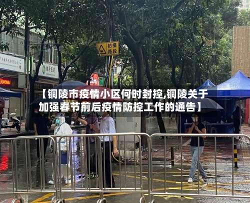 【铜陵市疫情小区何时封控,铜陵关于加强春节前后疫情防控工作的通告】-第2张图片