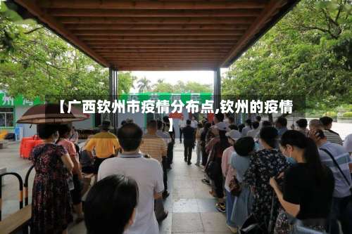 【广西钦州市疫情分布点,钦州的疫情】-第3张图片