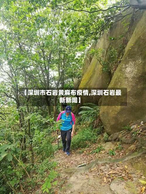 【深圳市石岩黄麻布疫情,深圳石岩最新新闻】-第3张图片