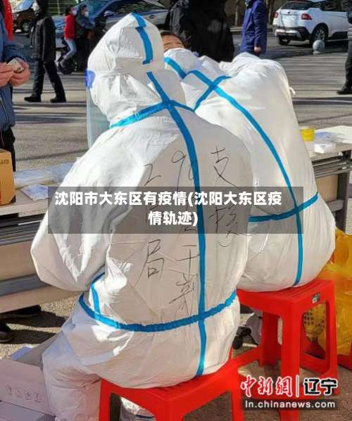 沈阳市大东区有疫情(沈阳大东区疫情轨迹)-第3张图片