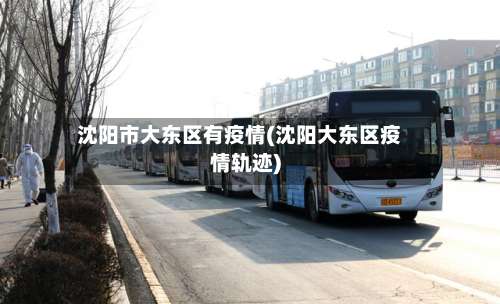 沈阳市大东区有疫情(沈阳大东区疫情轨迹)-第2张图片