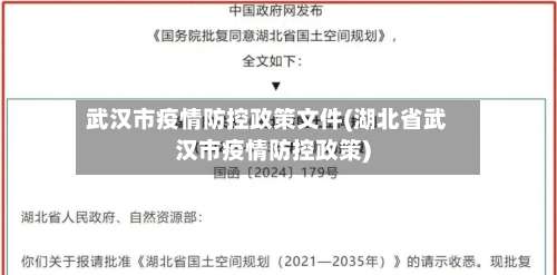 武汉市疫情防控政策文件(湖北省武汉市疫情防控政策)