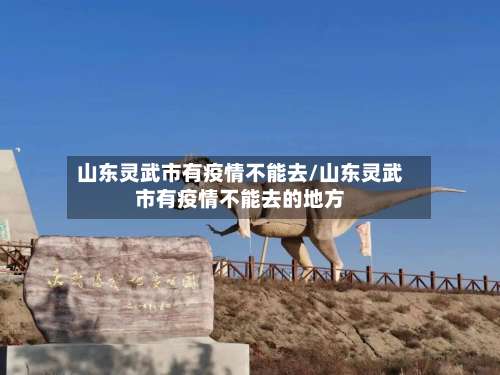 山东灵武市有疫情不能去/山东灵武市有疫情不能去的地方-第2张图片