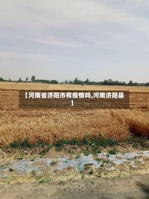 【河南省济阳市有疫情吗,河南济阳县】-第2张图片