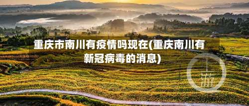 重庆市南川有疫情吗现在(重庆南川有新冠病毒的消息)