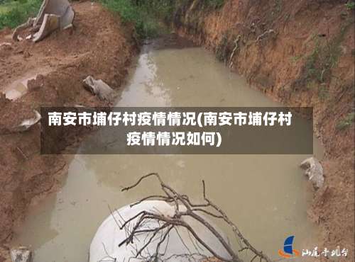 南安市埔仔村疫情情况(南安市埔仔村疫情情况如何)-第3张图片