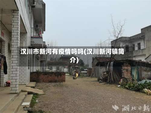 汉川市新河有疫情吗吗(汉川新河镇简介)-第3张图片