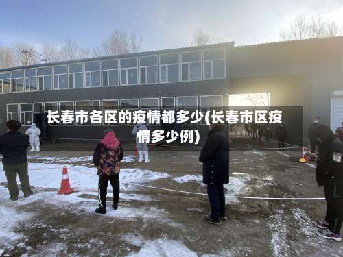 长春市各区的疫情都多少(长春市区疫情多少例)-第2张图片