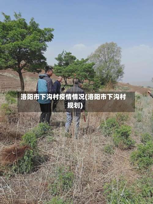洛阳市下沟村疫情情况(洛阳市下沟村规划)