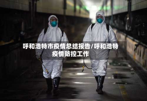 呼和浩特市疫情总结报告/呼和浩特疫情防控工作