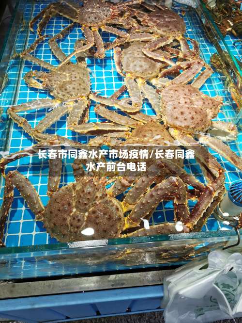 长春市同鑫水产市场疫情/长春同鑫水产前台电话