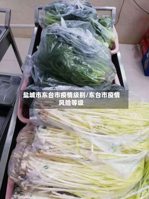 盐城市东台市疫情级别/东台市疫情风险等级