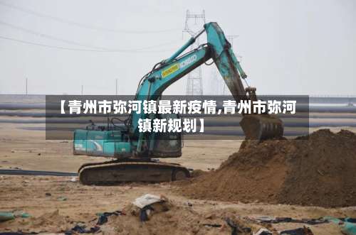 【青州市弥河镇最新疫情,青州市弥河镇新规划】