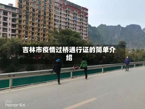 吉林市疫情过桥通行证的简单介绍-第2张图片