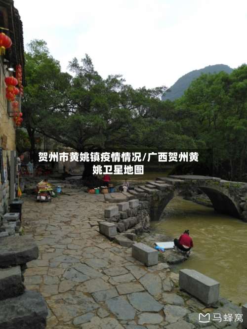 贺州市黄姚镇疫情情况/广西贺州黄姚卫星地图-第2张图片