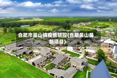 合肥市吴山镇疫情防控(合肥吴山最新项目)