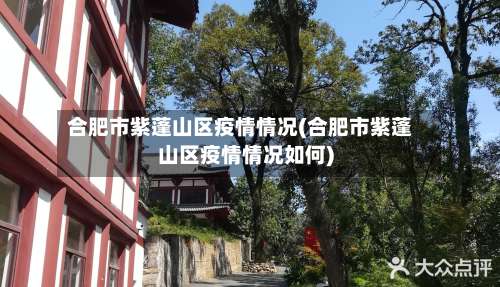 合肥市紫蓬山区疫情情况(合肥市紫蓬山区疫情情况如何)