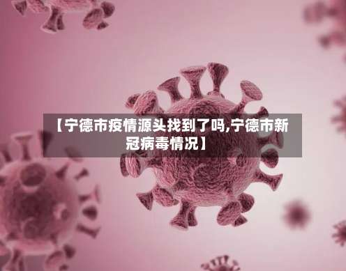 【宁德市疫情源头找到了吗,宁德市新冠病毒情况】