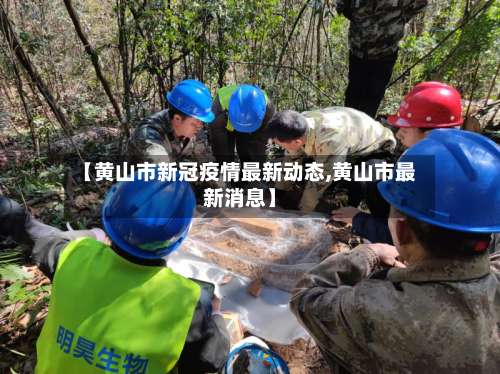 【黄山市新冠疫情最新动态,黄山市最新消息】