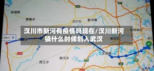 汉川市新河有疫情吗现在/汉川新河镇什么时候划入武汉