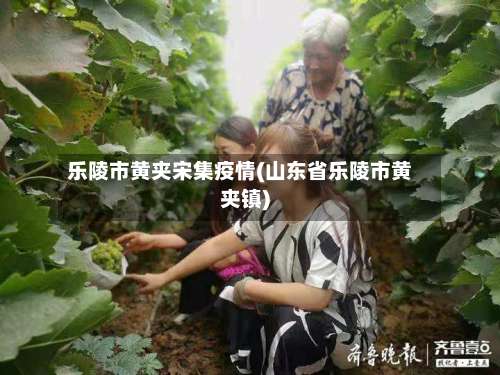 乐陵市黄夹宋集疫情(山东省乐陵市黄夹镇)