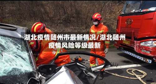 湖北疫情随州市最新情况/湖北随州疫情风险等级最新