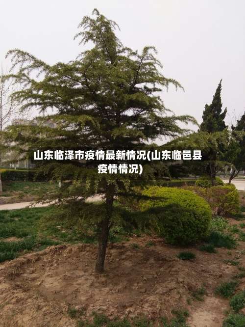 山东临泽市疫情最新情况(山东临邑县疫情情况)
