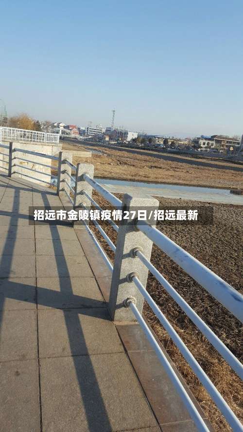 招远市金陵镇疫情27日/招远最新