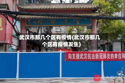 武汉市那几个区有疫情(武汉市那几个区有疫情发生)