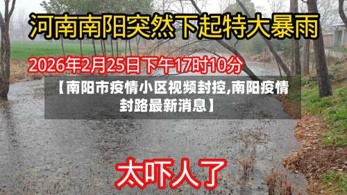 【南阳市疫情小区视频封控,南阳疫情封路最新消息】-第2张图片