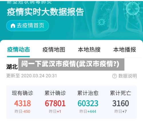 问一下武汉市疫情(武汉市疫情?)