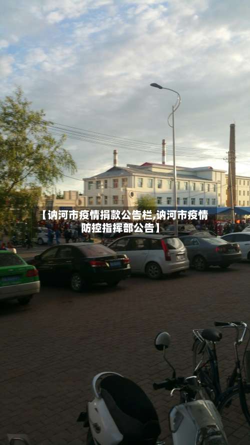 【讷河市疫情捐款公告栏,讷河市疫情防控指挥部公告】-第2张图片