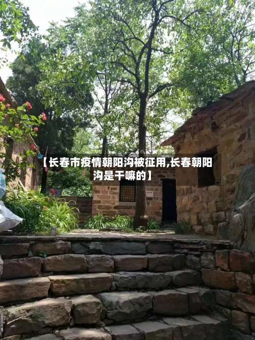 【长春市疫情朝阳沟被征用,长春朝阳沟是干嘛的】